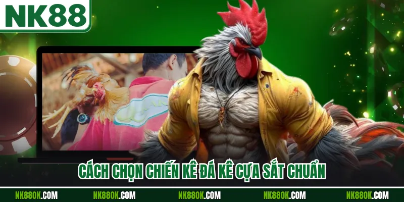 Cách chọn chiến kê đá kê cựa sắt chuẩn